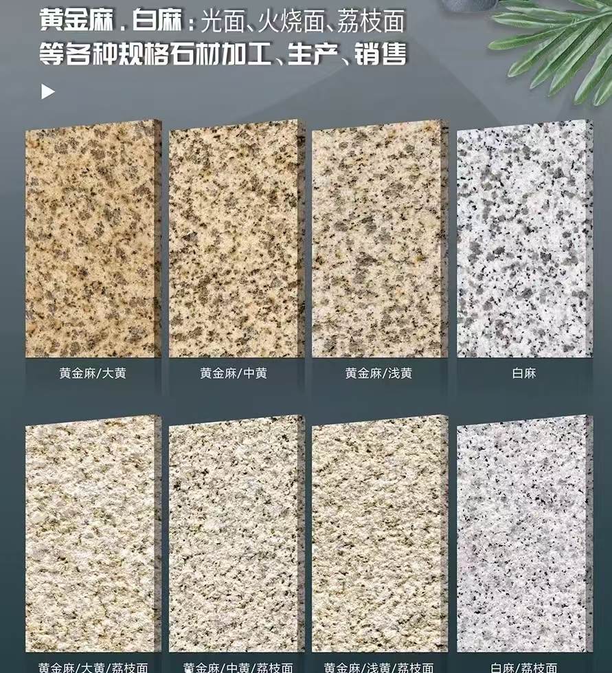 山西 黄金麻白麻样品展示